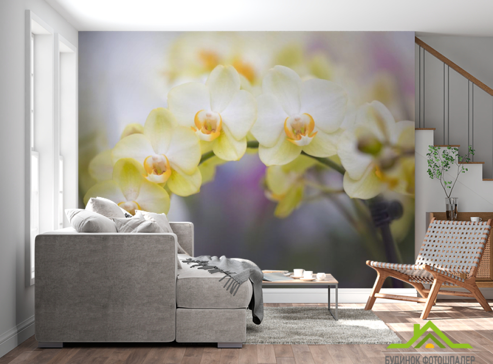 выбрать Фотообои желтые орхидеи Фотообои Цветы на стену