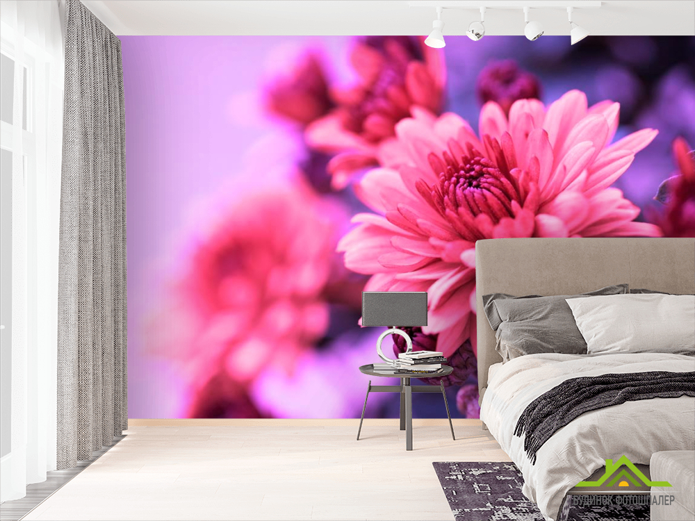 Фотообои Астры розовые