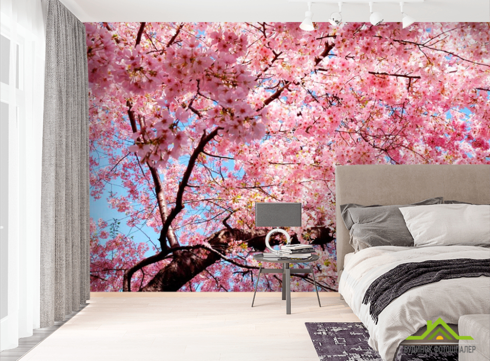 выбрать Фотообои Сакура расцвела Фотообои Сакура на стену