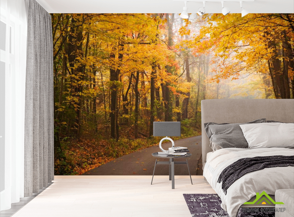 выбрать Фотообои Крутая дорога, осень Фотообои лес на стену