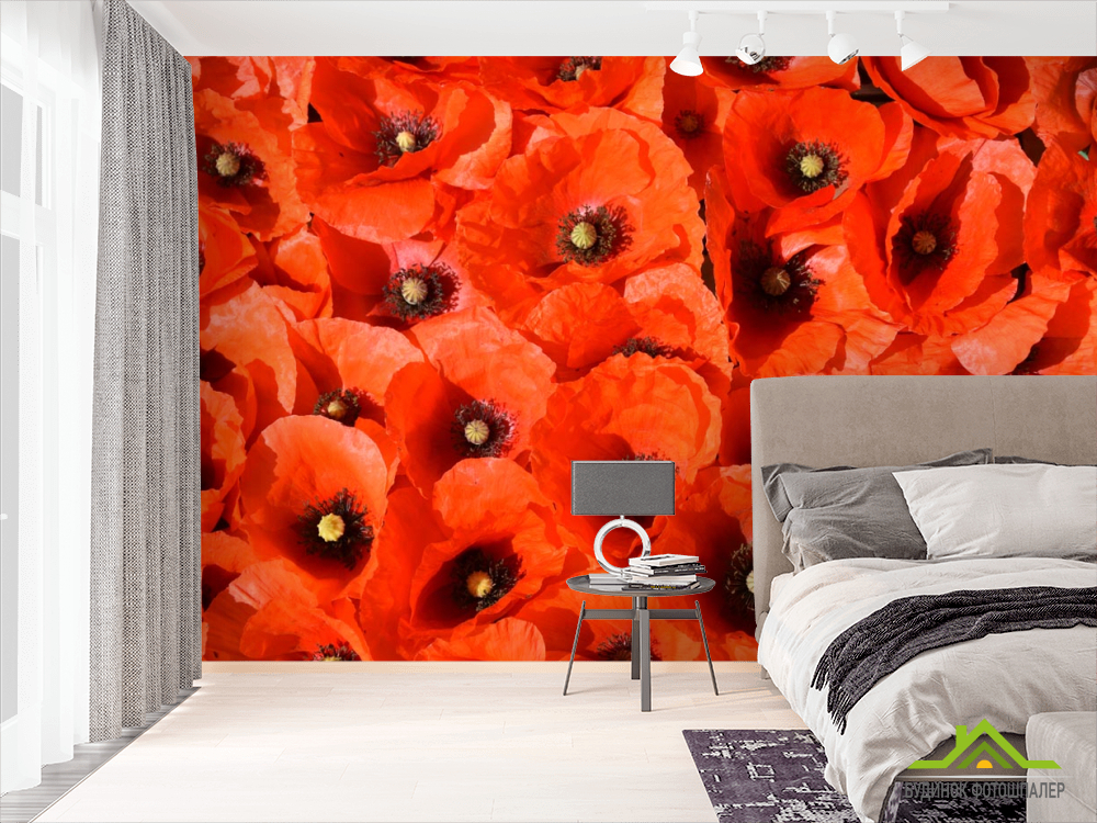 Фотошпалери червоні маки