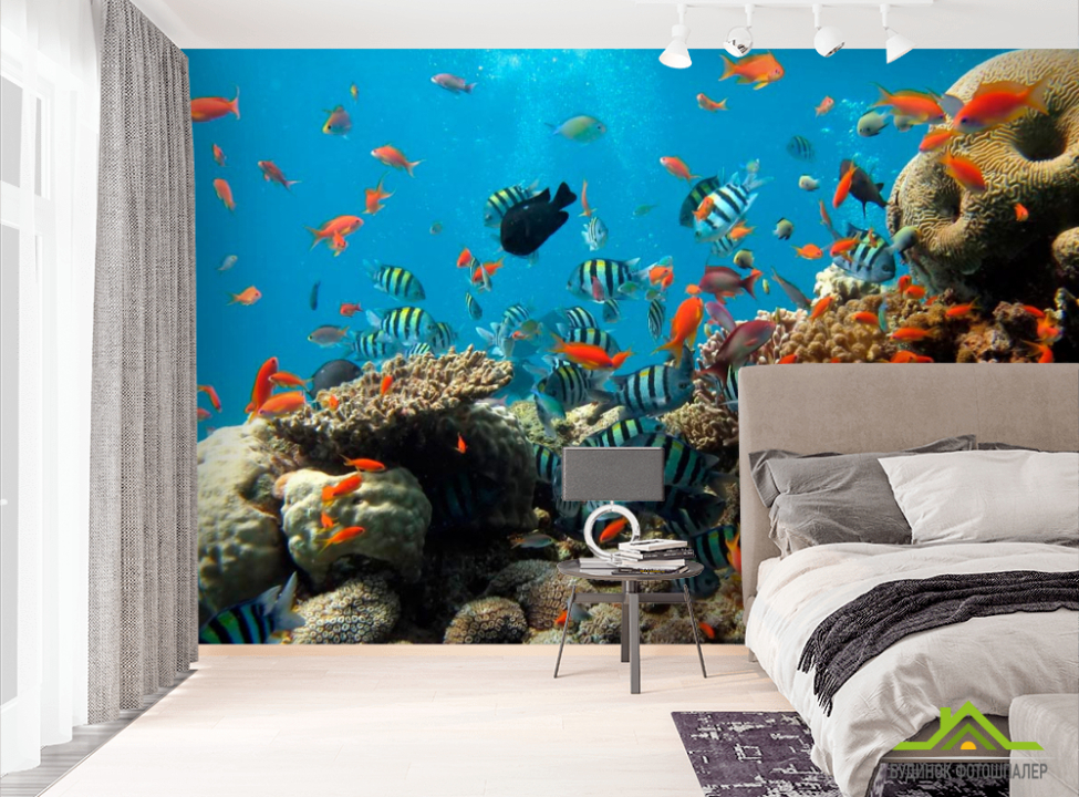 выбрать Фотошпалери Рибки в коралових рифах Фотошпалери Риби і море на стіну