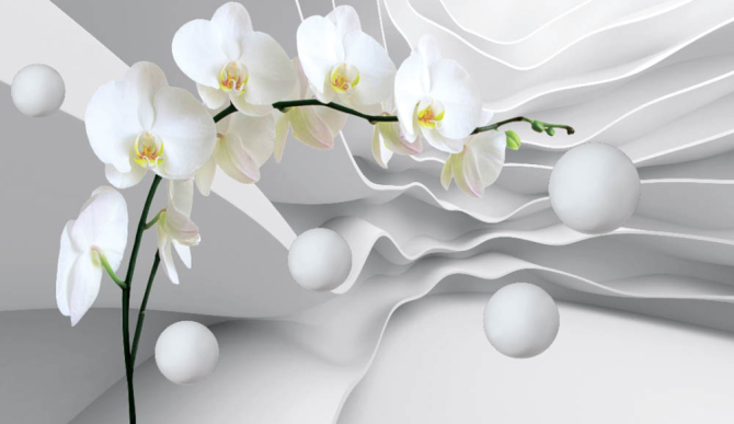 Фотообои Орхидея 3д