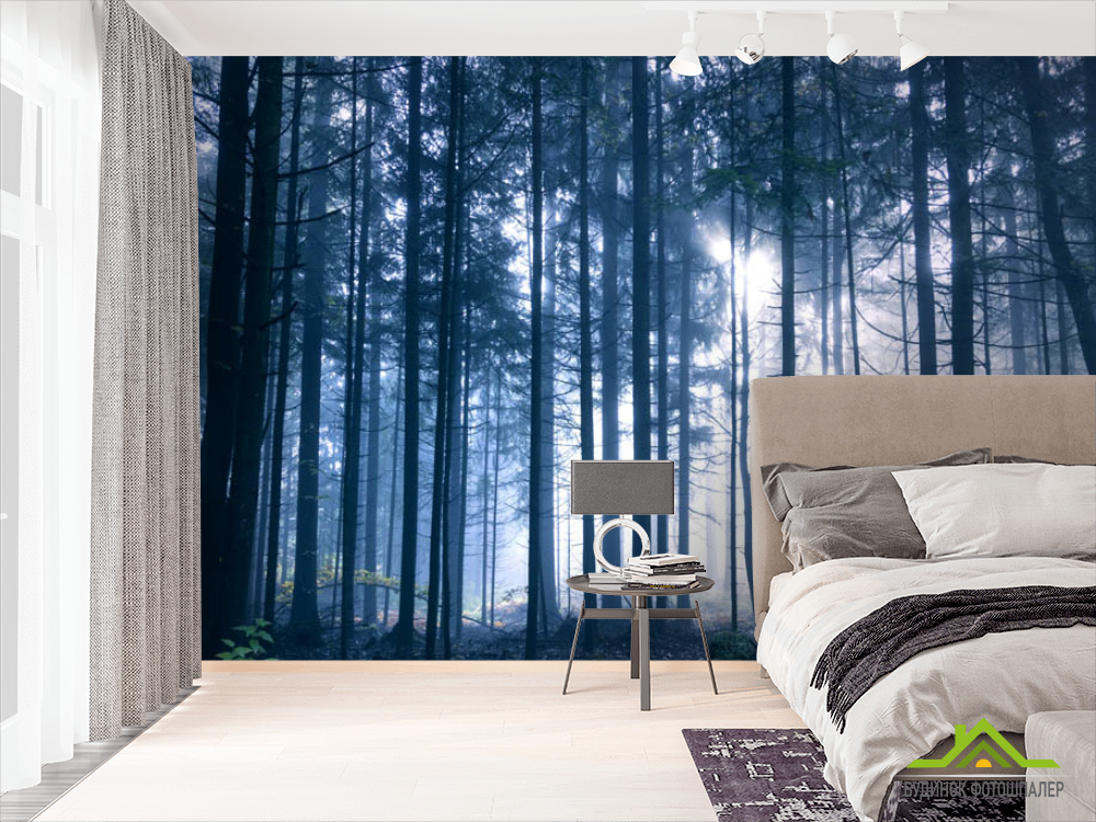 Фотошпалери ліс
