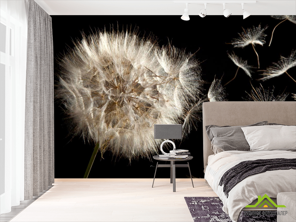 Фотошпалери Пух кульбаби летить