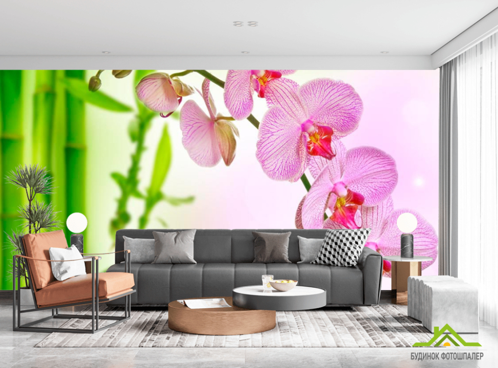 выбрать Фотообои Орхидеи и бамбук Фотообои Орхидеи на стену