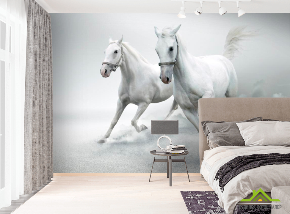 выбрать Фотообои Две белых лошади Фотообои Лошади на стену