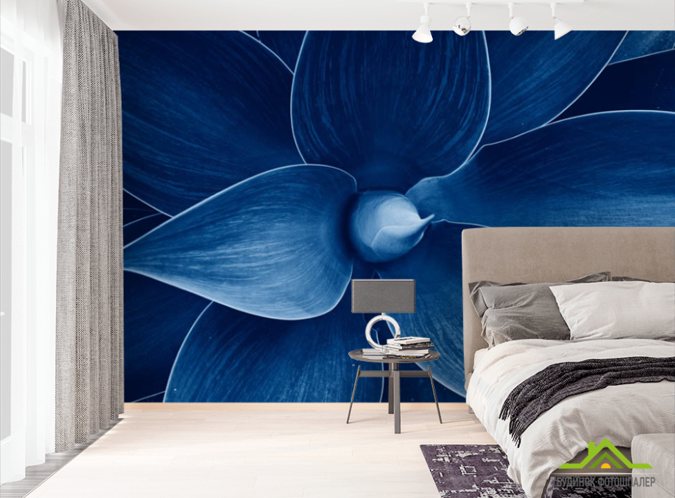 выбрать Фотошпалери синій квітка Фотошпалери різні на стіну