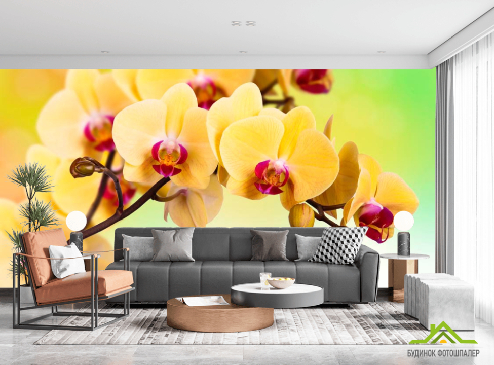 выбрать Фотообои Желтая орхидея Фотообои Цветы на стену
