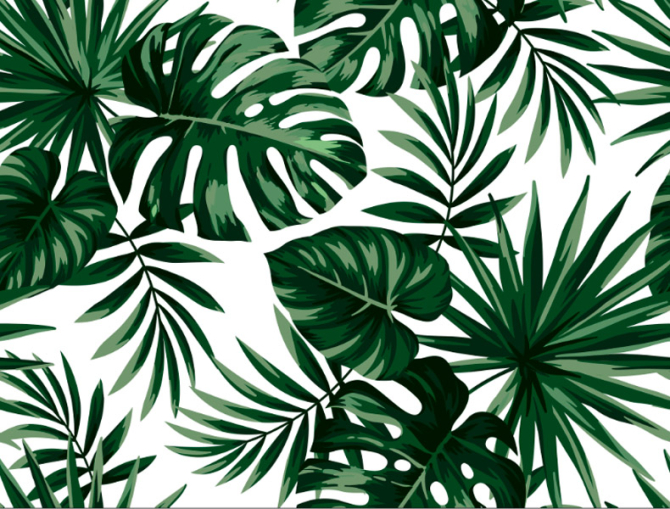 Фотошпалери Тропічні листя