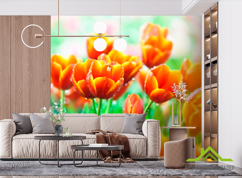 выбрать Фотообои Красно-желтые тюльпаны Фотообои Тюльпаны на стену