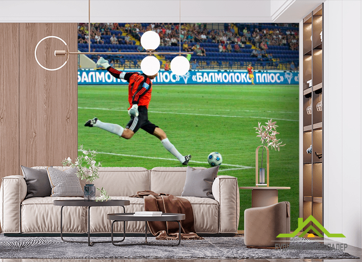 Фотошпалери Воротар починає атаку