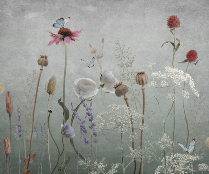 Фотошпалери польові дизайнерські квіти сірі