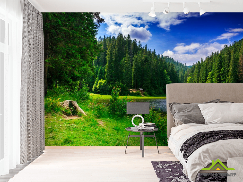 Фотошпалери озеро і ліс