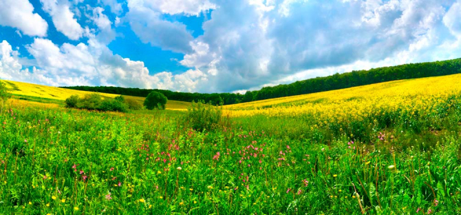 Фотошпалери Хмари, луг