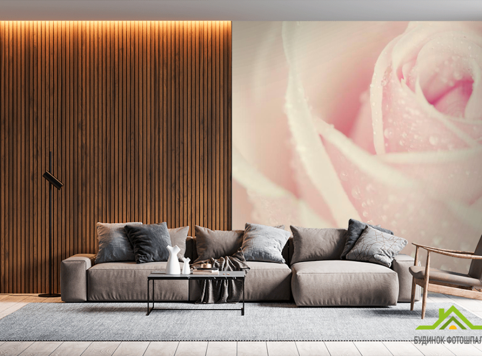 выбрать Фотошпалери Краплі роси на троянді Фотошпалери Троянди на стіну