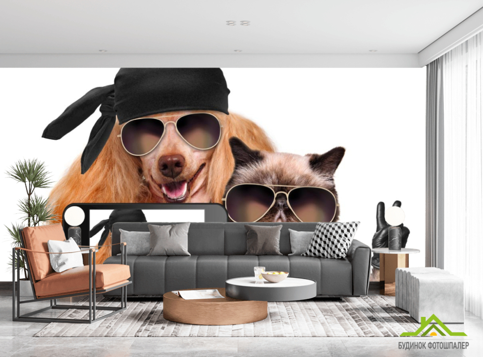 выбрать Фотообои кот с собакой делают селфи Фотообои Коты на стену