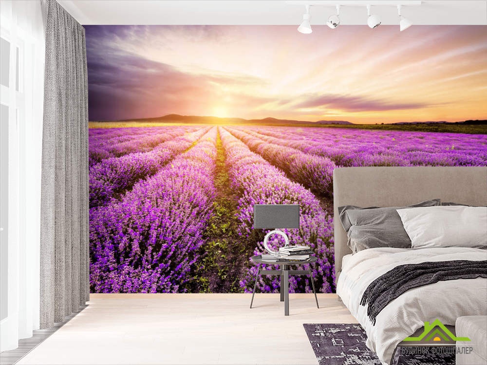 Фотошпалери Захід у лавандовом полі