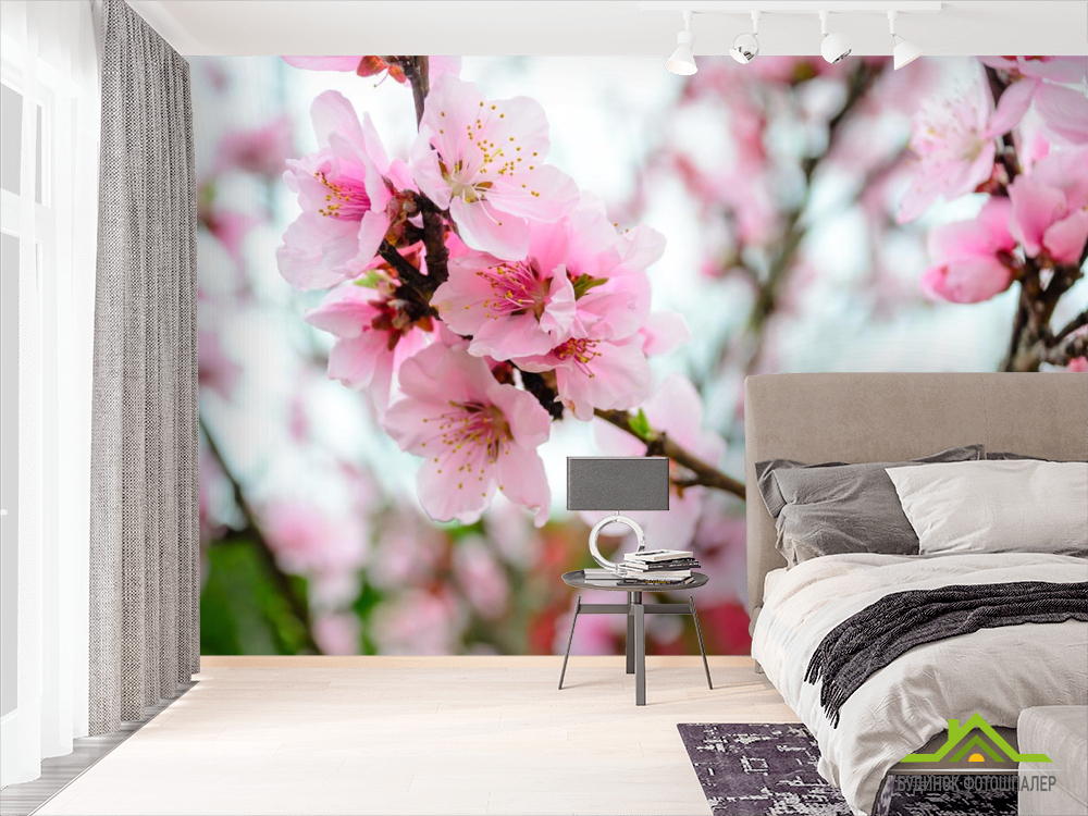 Фотошпалери рожева сакура