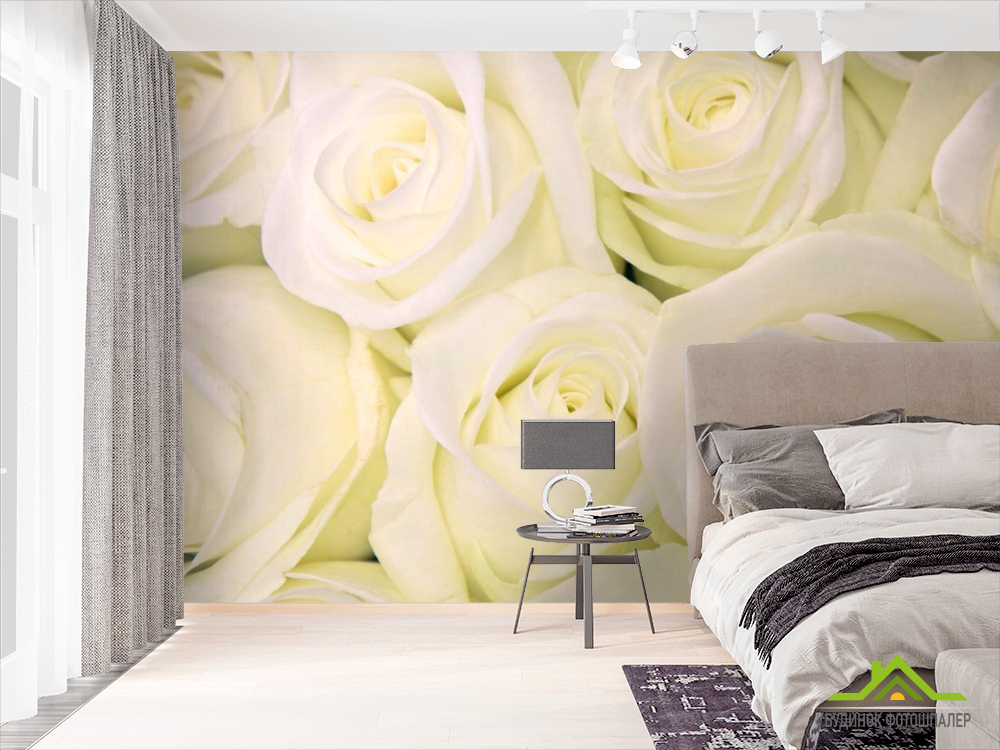 Фотошпалери Троянди білосніжного відтінку