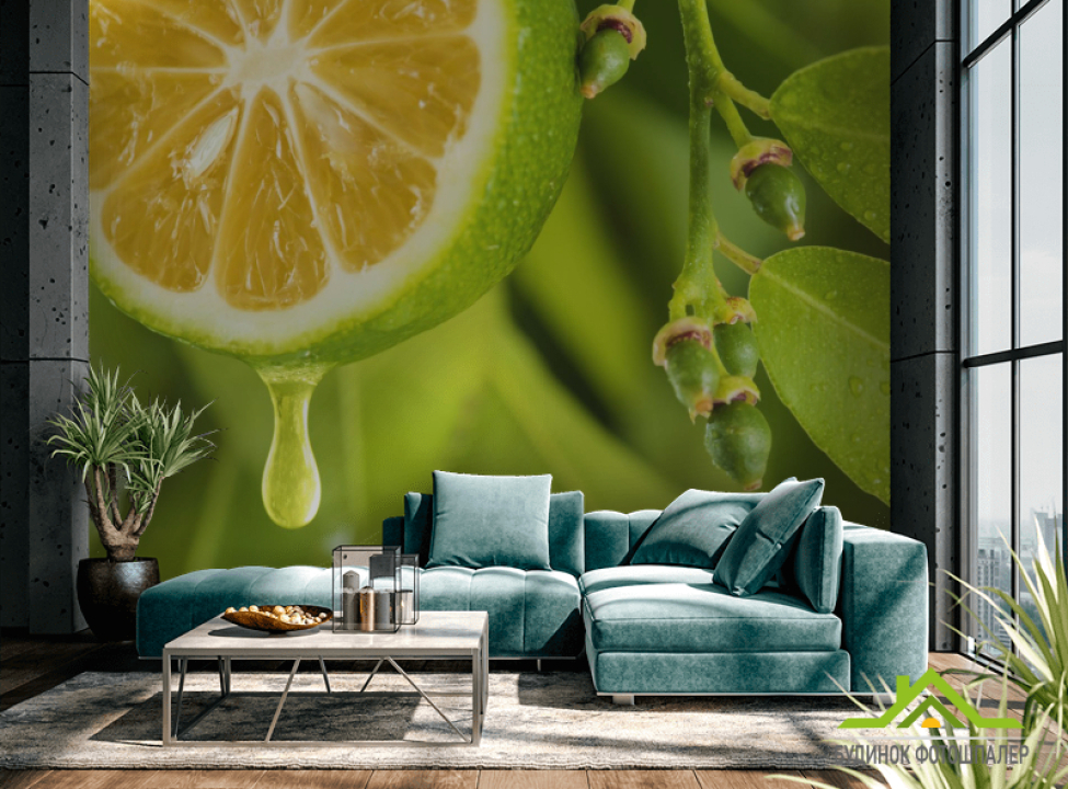 выбрать Фотообои Яркий лимон Фотообои Еда и напитки на стену