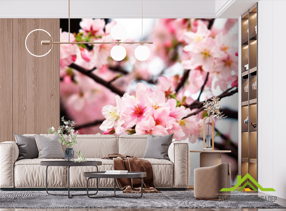выбрать Фотошпалери Суцвіття вишні Фотошпалери Вишня на стіну