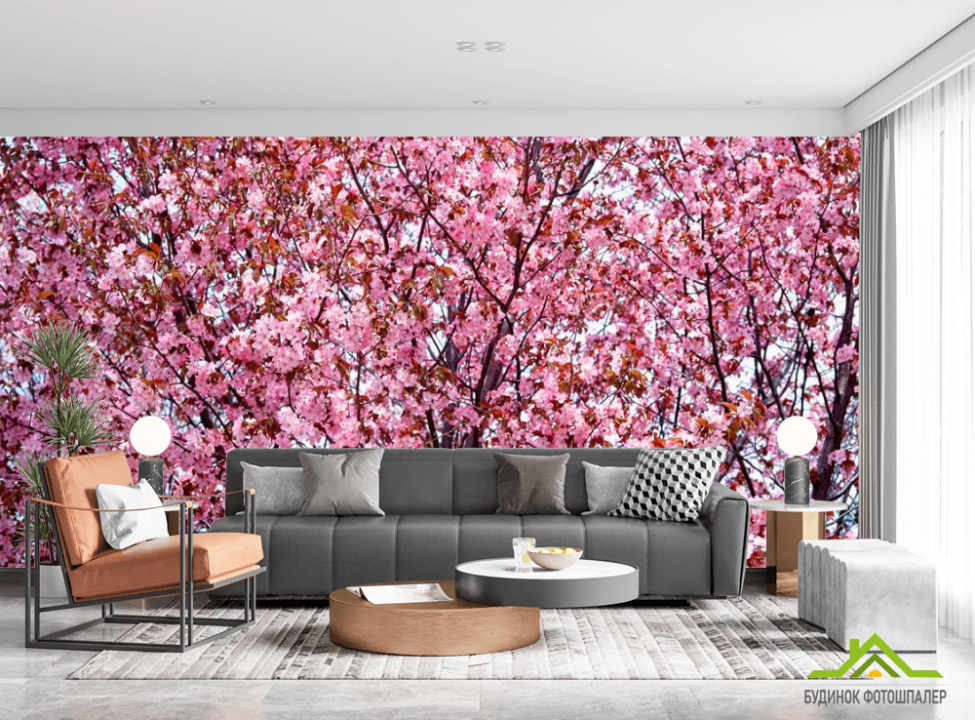выбрать Фотообои Сакура в цвету Фотообои Сакура на стену