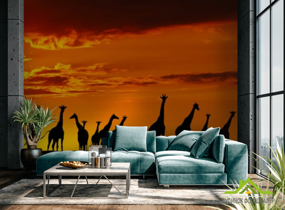 выбрать Фотошпалери багато жирафів і захід Фотошпалери Природа на стіну