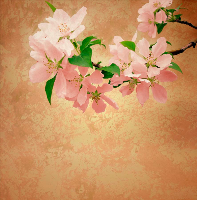 Фотообои Маленькие кремовые цветы