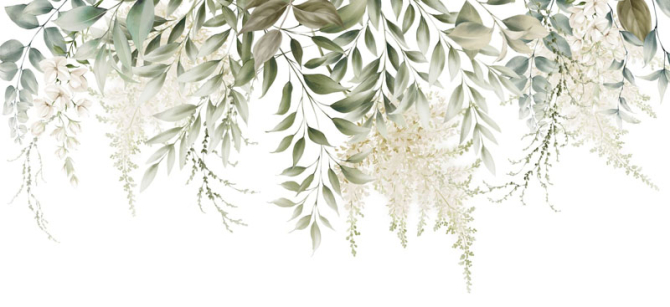 Фотообои Листья с потолка