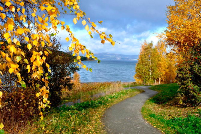 Фотообои Дорога к воде