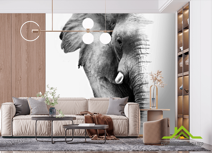 Фотошпалери Слон
