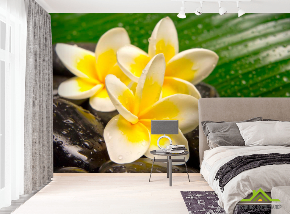 выбрать Фотообои Цветы, камни, роса Фотообои Цветы на стену