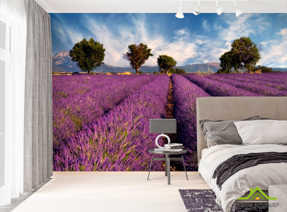 выбрать Фотошпалери Поле квітів Фотошпалери Природа на стіну