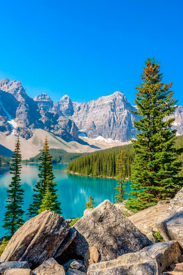 Фотообои Скалы, ёль