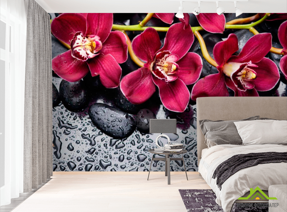 выбрать Фотообои Цветы на камнях Фотообои Цветы на стену