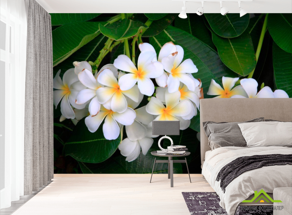 выбрать Фотообои Беленькие маленькие цветы Фотообои Цветы на стену