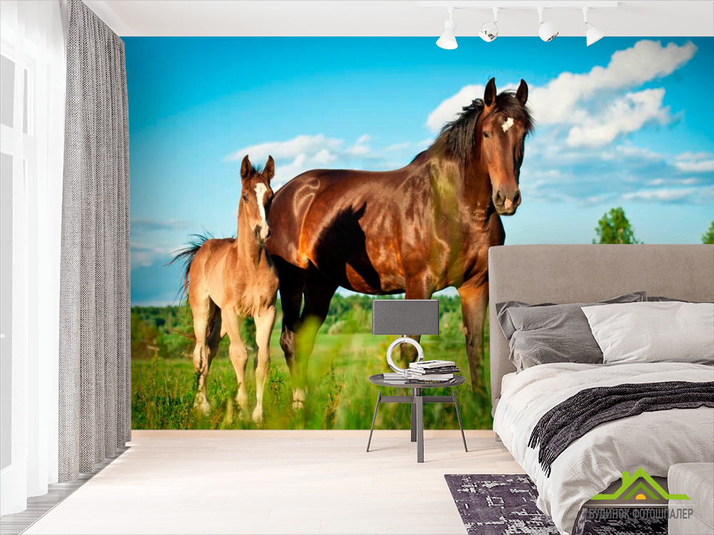 Фотообои Лошадь с жеребенком