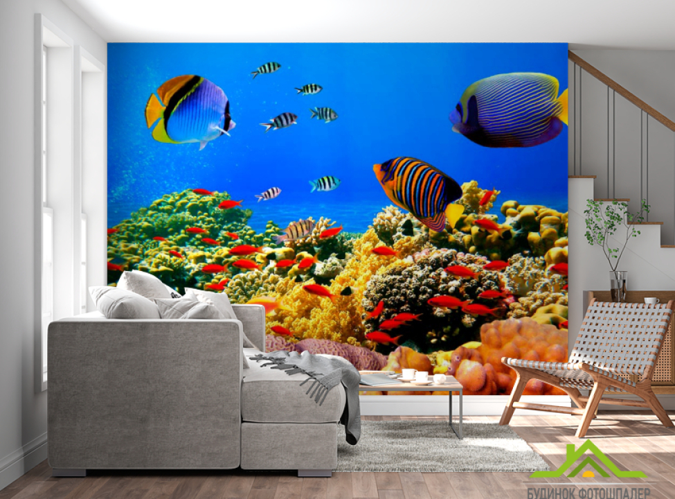 выбрать Фотошпалери Рибки на дні морському Фотошпалери Риби і море на стіну