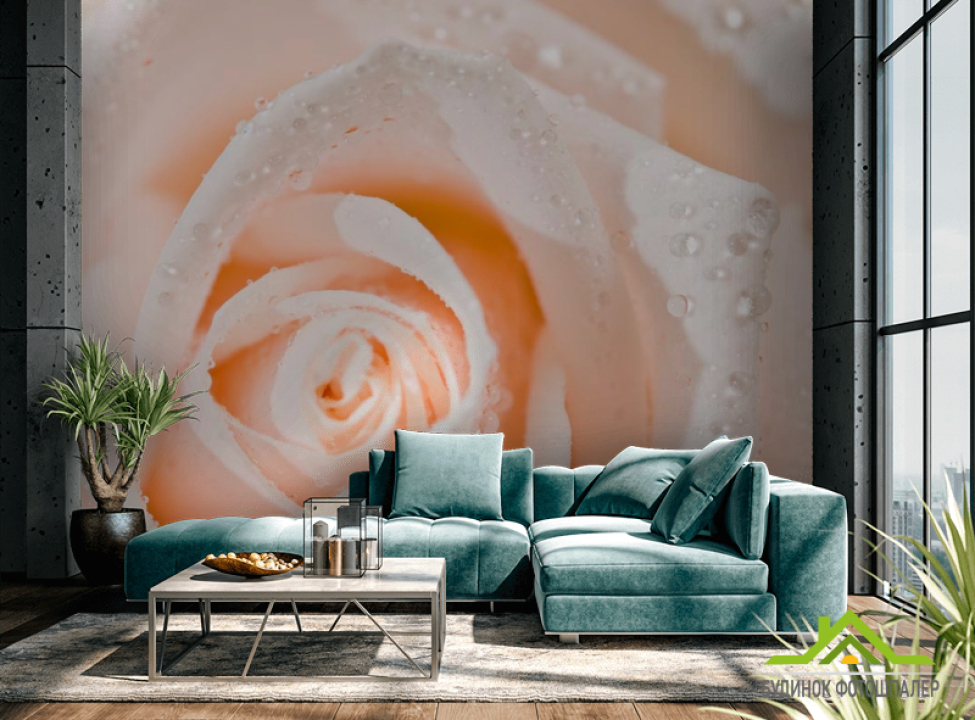 выбрать Фотообои Роза Фотообои Цветы на стену