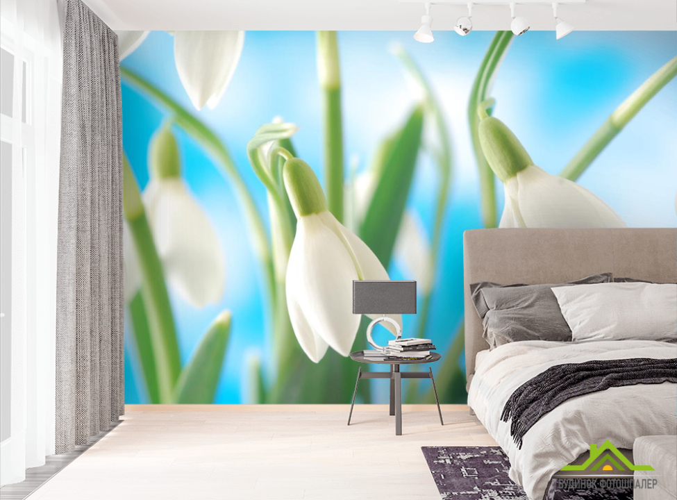 выбрать Фотошпалери проліски Фотошпалери Квіти на стіну