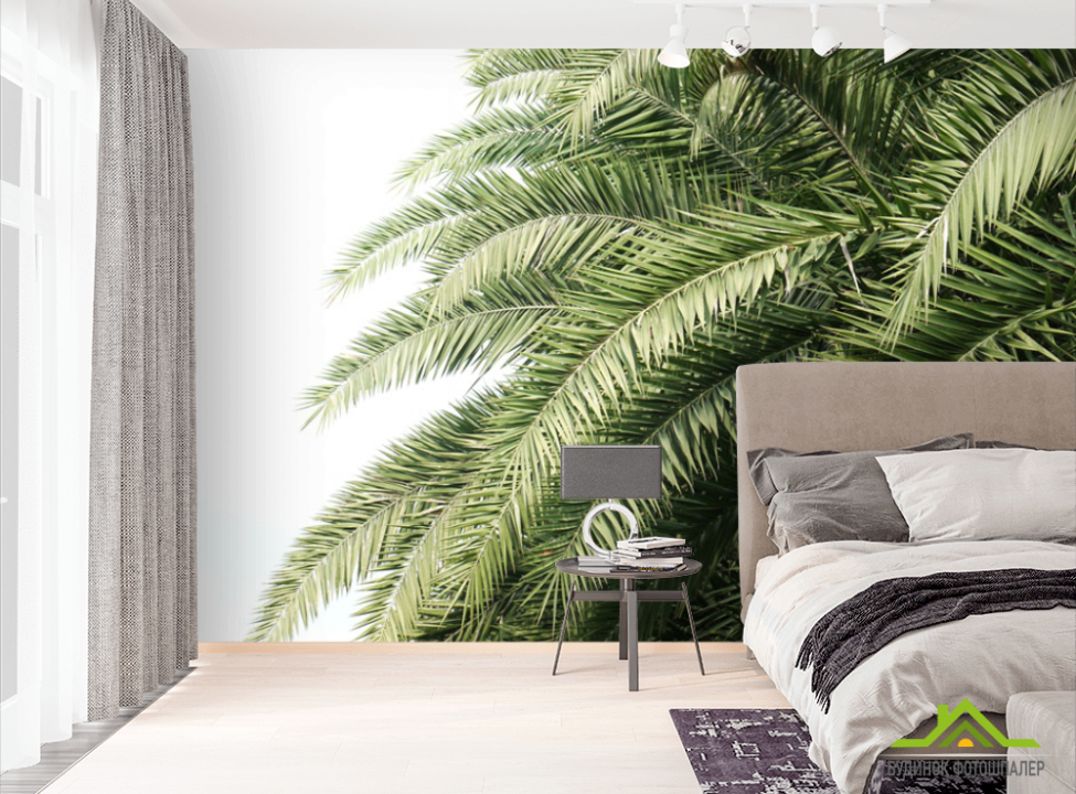 выбрать Фотошпалери Пальмові гілки Фотошпалери тропічні листя на стіну