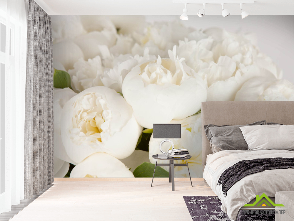 Фотообои Белые пионы