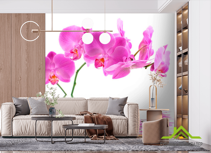 Фотообои В воде орхидеи