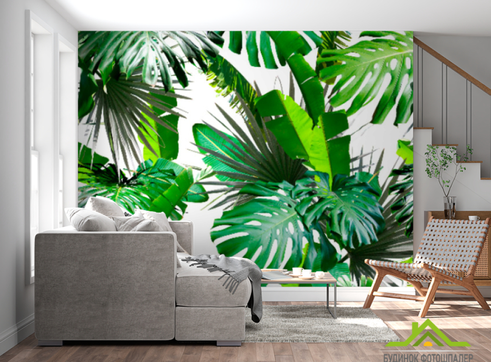 выбрать Фотообои Тропические листья Фотообои тропические листья на стену