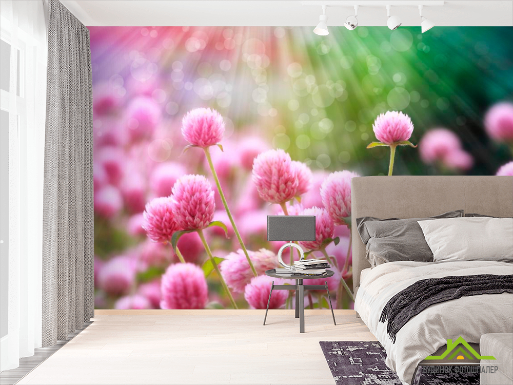 Фотошпалери Рожевий конюшина