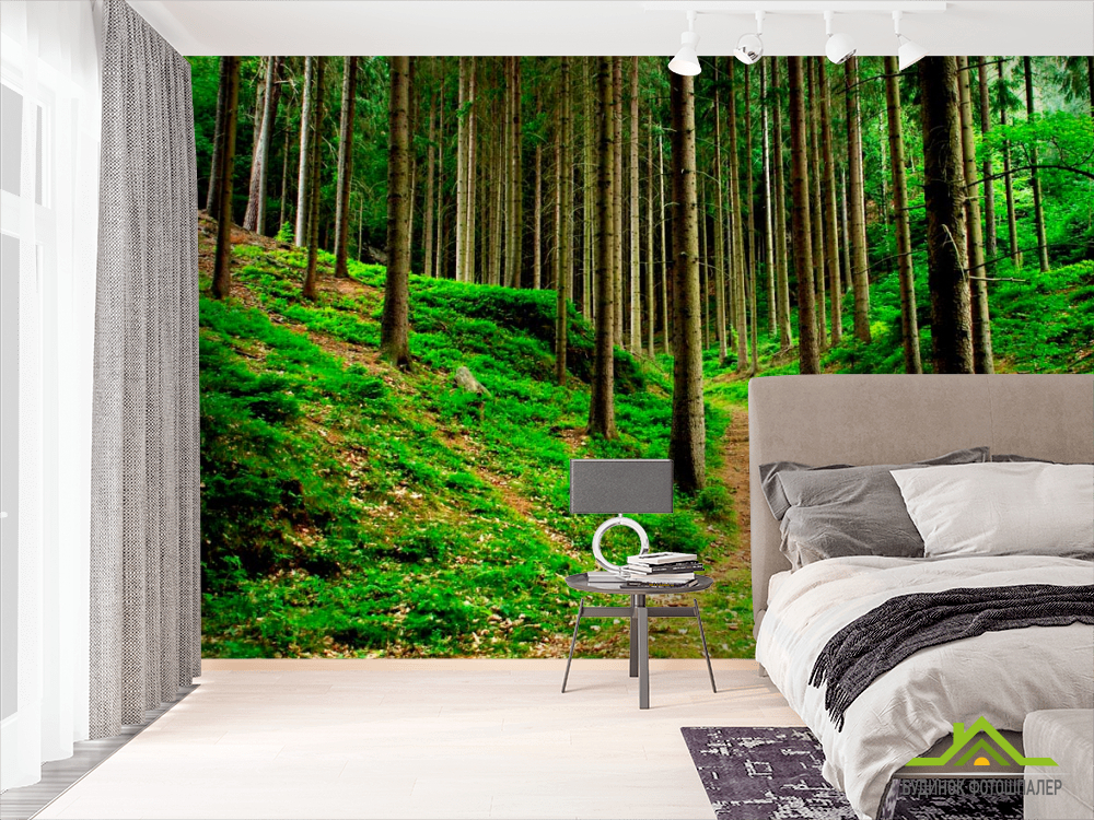 Фотообои Тропинки, ёлки