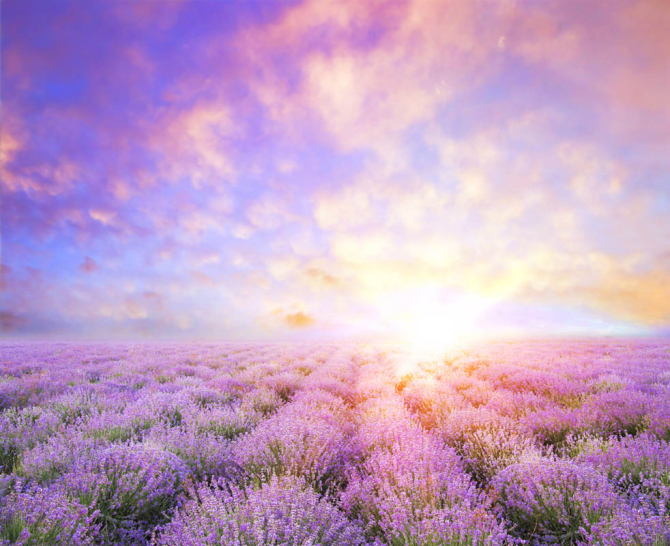 Фотообои Восход в провансе