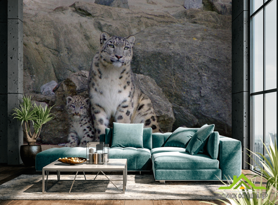 выбрать Фотообои Семья снежных барсов Фотообои Барсы на стену
