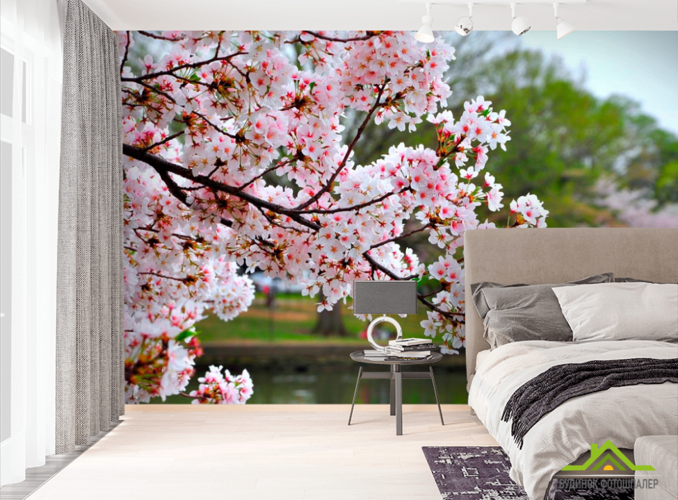 выбрать Фотошпалери Квітучий вишневий сад Фотошпалери Вишня на стіну